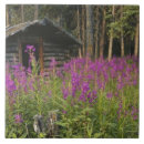 Search for cabin tiles Wood