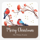 Search for red robin stickers Winter