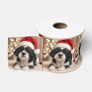 Recherche de tzu de shih rubans Pour tous