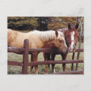 Recherche de équestre vœux cartes Pays