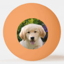 Search for funny ping pong balls Animal