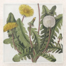 Recherche de gravure sur dessous de verres Siècle