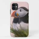 Search for puffins iphone cases Iceland