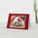 Recherche de poodle christmas cards Chiot
