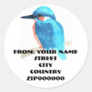 Recherche de martin pêcheur autocollants Coloré