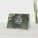 Search for raccoon birthday cards Animals