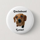Search for dachshund buttons Dogs