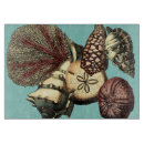 Recherche de méduses planches à découper Dollar de sable