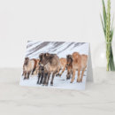 Search for iceland cards Pony