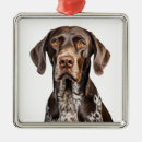 Search for liver ornaments White