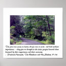 Search for pine trees posters Trails
