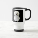 Recherche de bichon frise voyage mugs Chiot