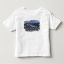 Search for dock of the bay clothing Boat