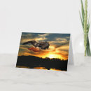 Search for red tail cards Flying