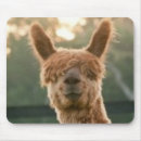 Recherche de alpaga tapis souris Adorable