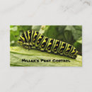 Search for ant business cards Pests