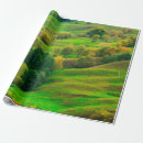 Search for sunlight wrapping paper Autumn