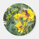 Search for bumblebee magnets Yellow