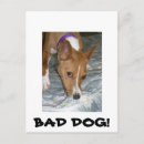 Search for eats postcards Dog