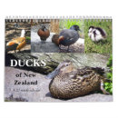Search for duck calendars Nature