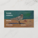 Recherche de mouettes cartes visite Mer