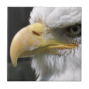 Recherche de bird carreaux Nature