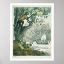 Search for amazon posters America