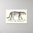 Search for animal leopard print canvas prints Wildlife