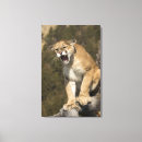 Search for captive canvas prints Usa
