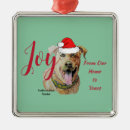 Search for staffordshire bull terrier ornaments puppy