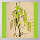 Search for hazel posters Tree