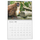 Search for lemur photography Lemurs