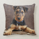 Recherche de airedale coussins Animaux