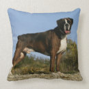 Recherche de canin coussins Chien