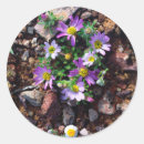 Search for abundant stickers Botanical