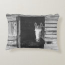 Search for rustic farmhouse pillows Grey