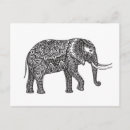 Search for zen doodle postcards Elephant