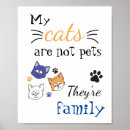 Recherche de chats colorés posters Animal de compagnie