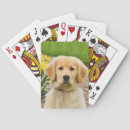 Search for golden retriever playing cards Puppies