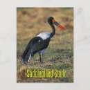 Recherche de factures cartes postales Oiseau
