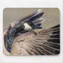 Search for downing mousepads Bird