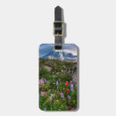 Search for fragile luggage tags Colour image