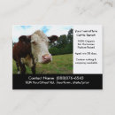 Recherche de viande de boeuf cartes visite Bétail