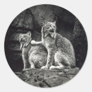 Search for cat couple stickers Black and white