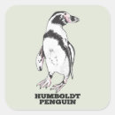 Search for humboldt stickers Bird