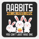 Search for rabbit owner Bunnies