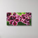 Search for geranium canvas prints Nature