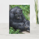 Recherche de poilu vœux cartes Singe