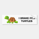 Search for i brake for turtles bumper stickers Animals
