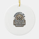 Search for bully ornaments Puppy